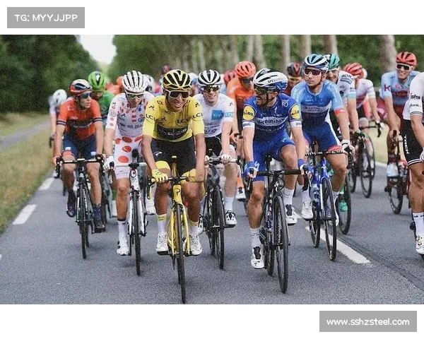 环法赛道冲突事件：闹事者强闯香榭丽舍遭警察飞身拦截被判缓刑